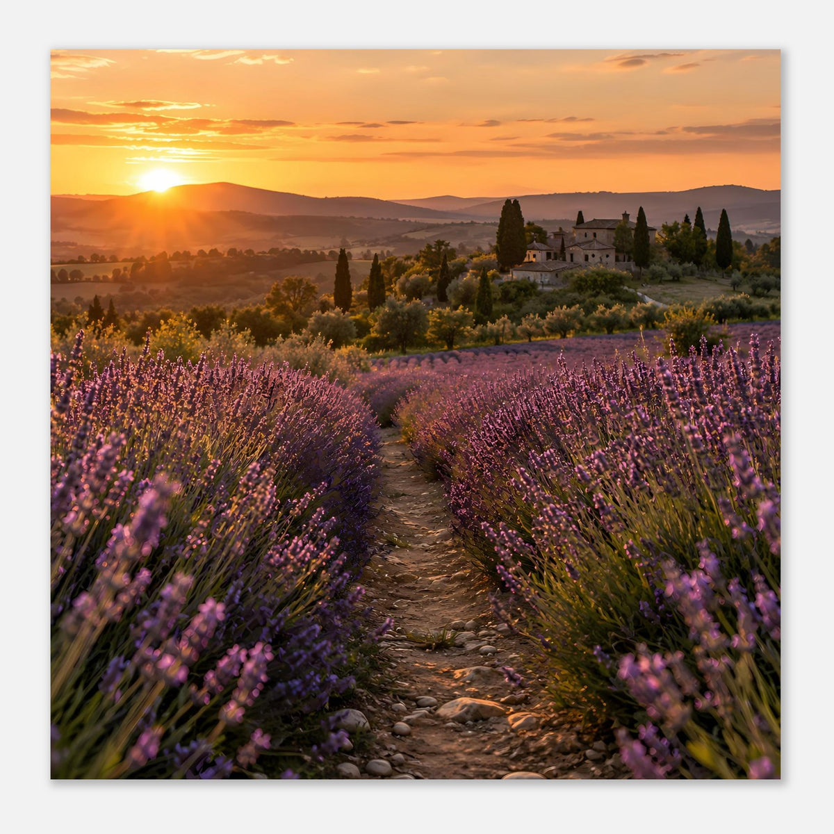 Querformat-Landschaftsposter mit Lavendelpfad, Schloss im Hintergrund und Sonnenuntergang