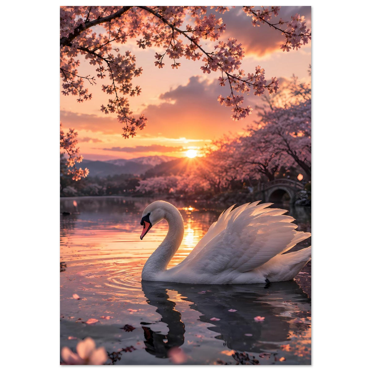 Poster: weißer Schwan auf dem See bei Sonnenuntergang, Äste mit rosafarbenen Blüten
