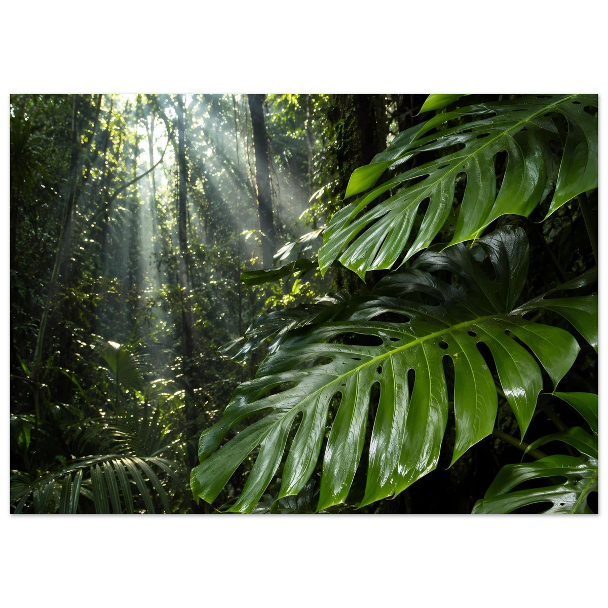 Dschungel-Poster mit tiefem Wald, grünen Blättern und Lichtkegeln