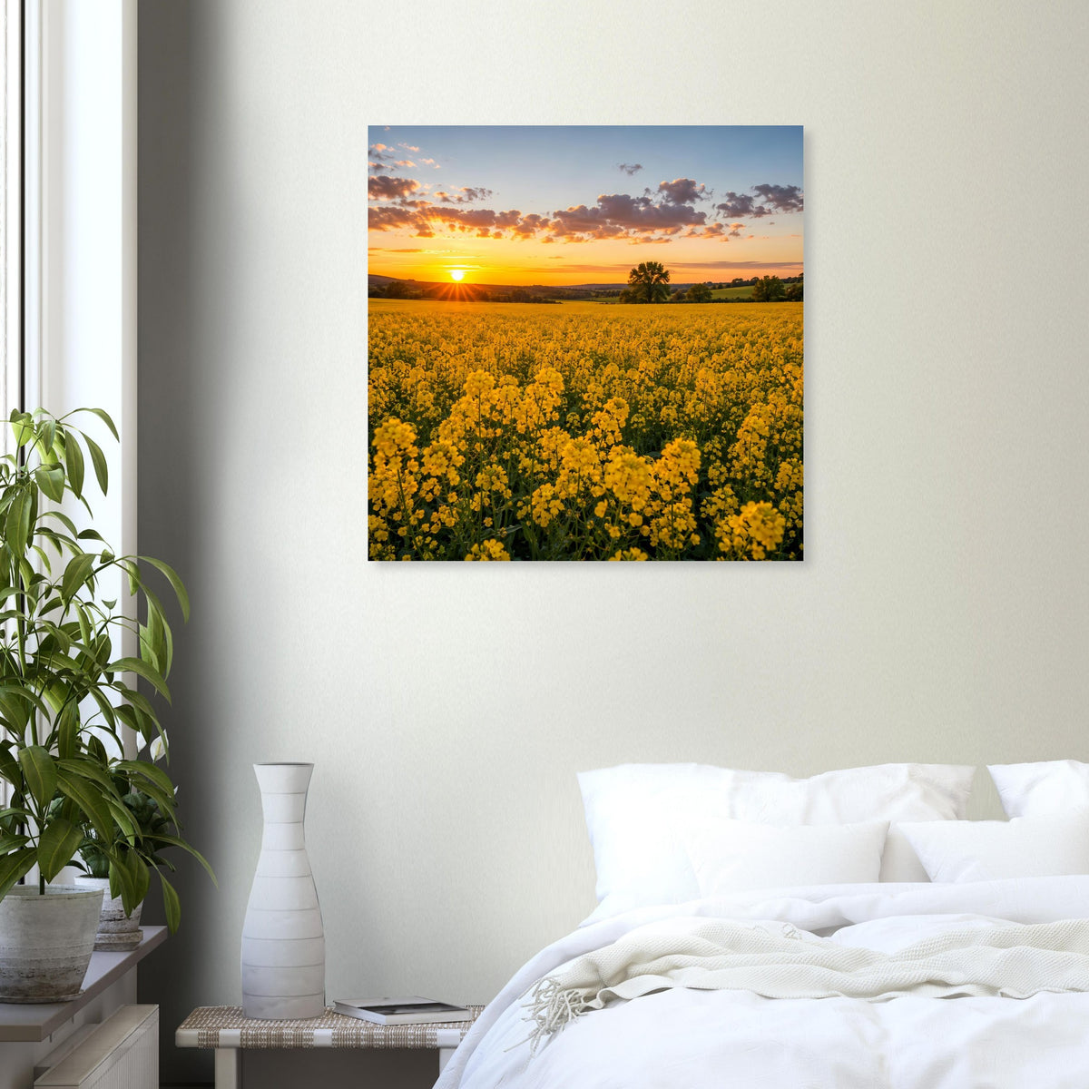 Quadratisches Poster mit Weite gelber Blumen und goldenem Abendhimmel