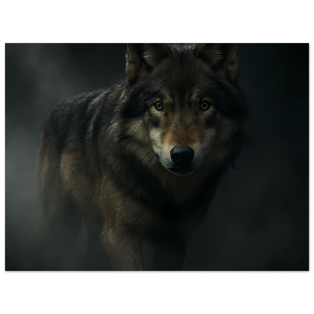 Wolfsposter mit Porträt eines grauen Wolfs, Blick nach vorn, horizontal