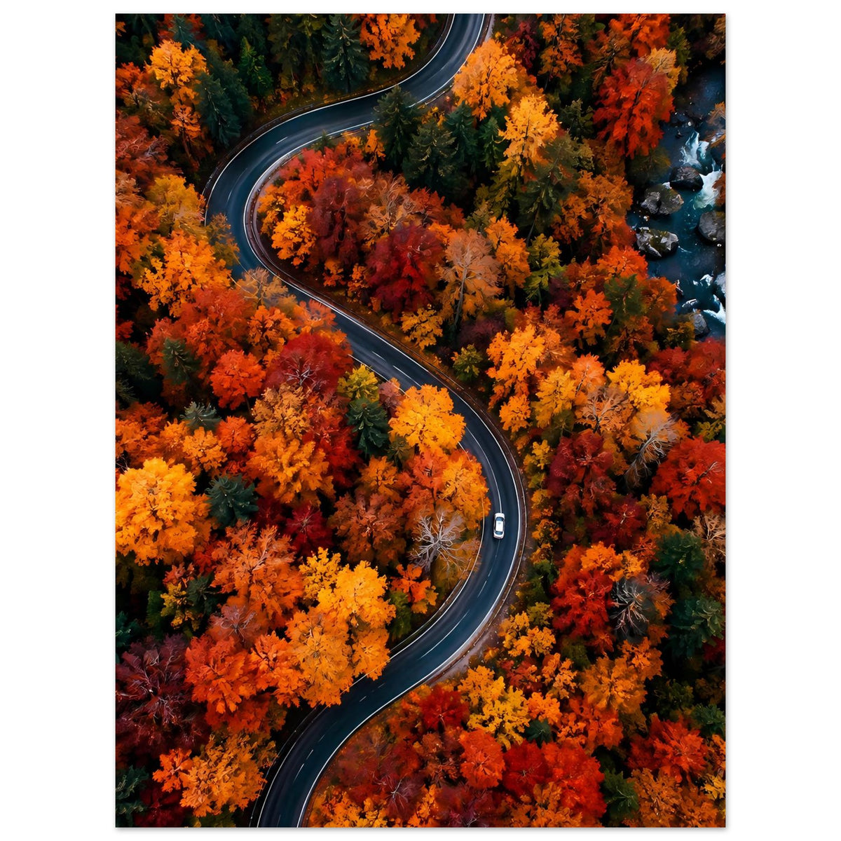 Herbstliches Poster: kurvige Straße durch leuchtendes Laub in Orange, Gelb und Rot