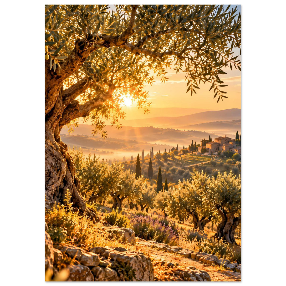 Landschaftsposter mit Olivenhain, goldener Morgensonne und Hügeln im Toskana-Look