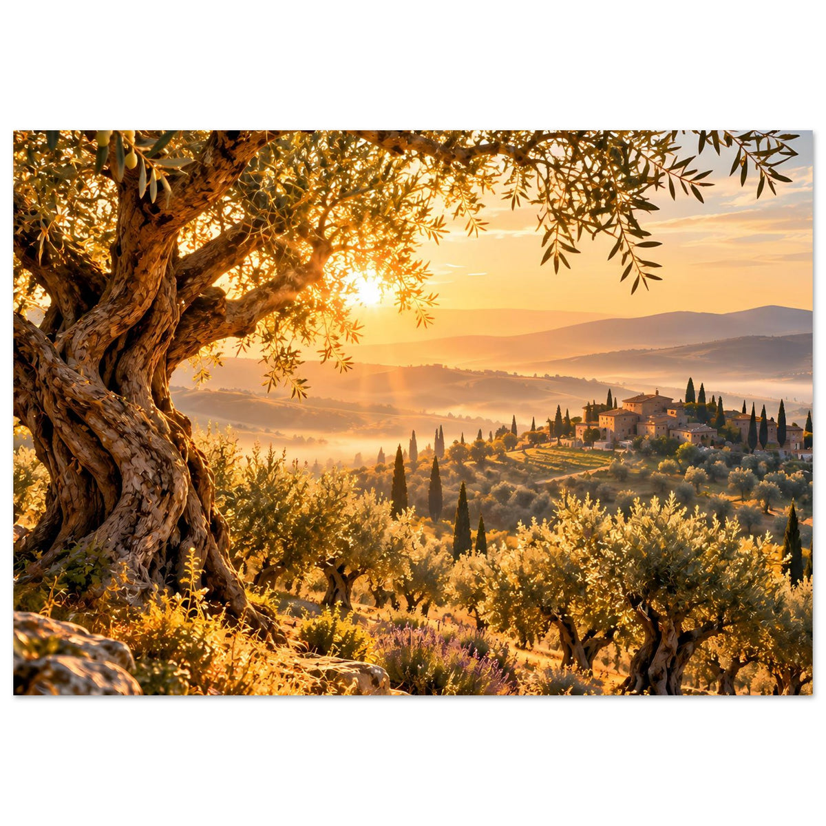Landschaftsposter mit Olivenbäumen im Sonnenaufgang, knorriger Baum, Dörfer und Zypressen