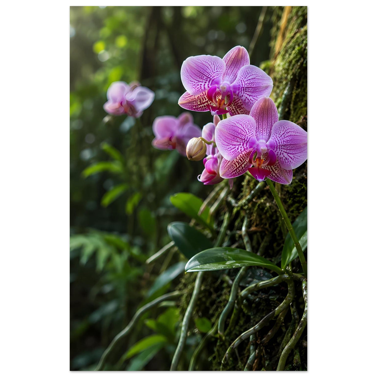 Botanisches Poster im Hochformat: pinke Orchideenblüten mit grünen Blättern