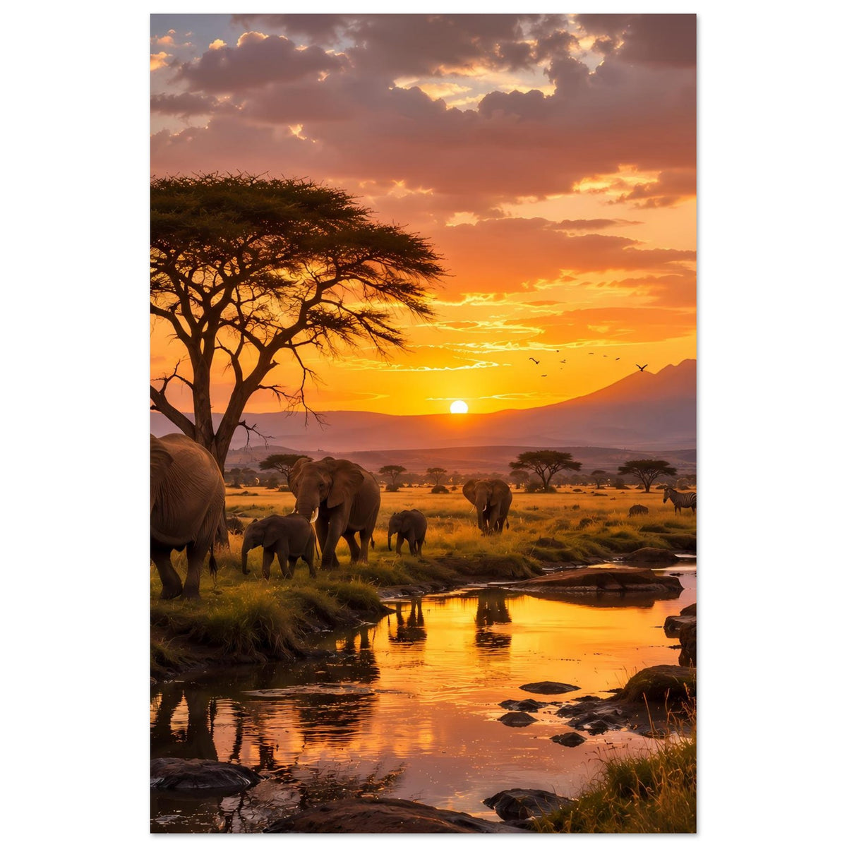Elefanten-Savannenposter: Elefanten und Jungtiere am Wasser, Akazienbaum bei Sonnenuntergang.