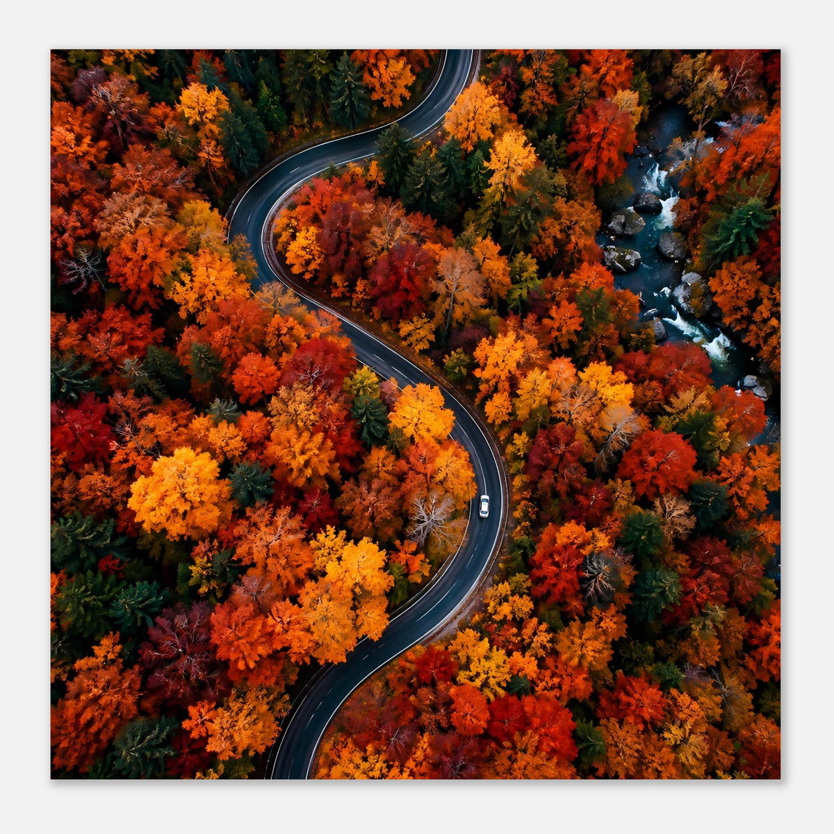 Herbstposter mit Straßenbogen und buntem Laub, rechts fließendes Wasser, Hochformat