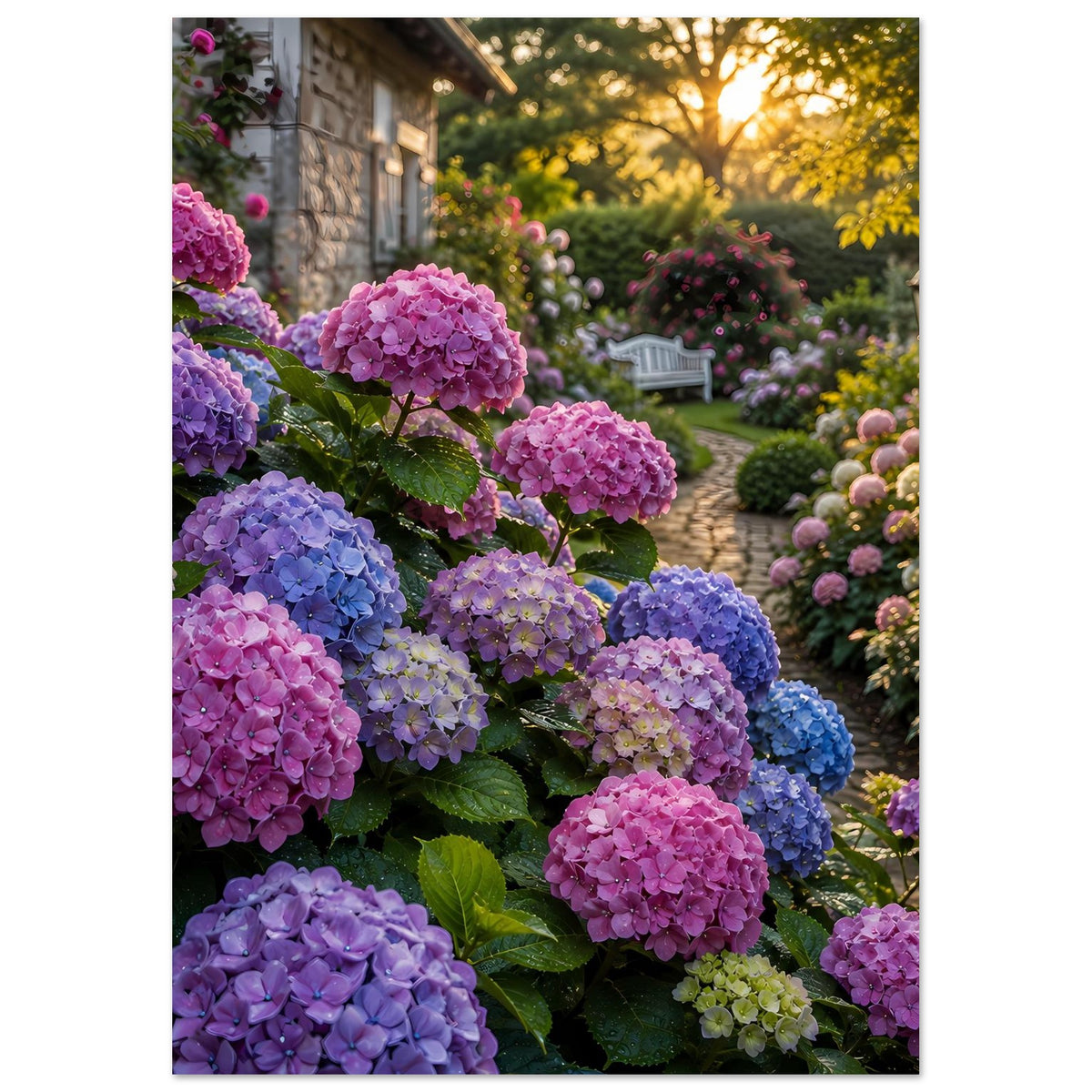 Premium-Poster im Hochformat: lila Hortensien vor Hecke und Bank im Hintergrund