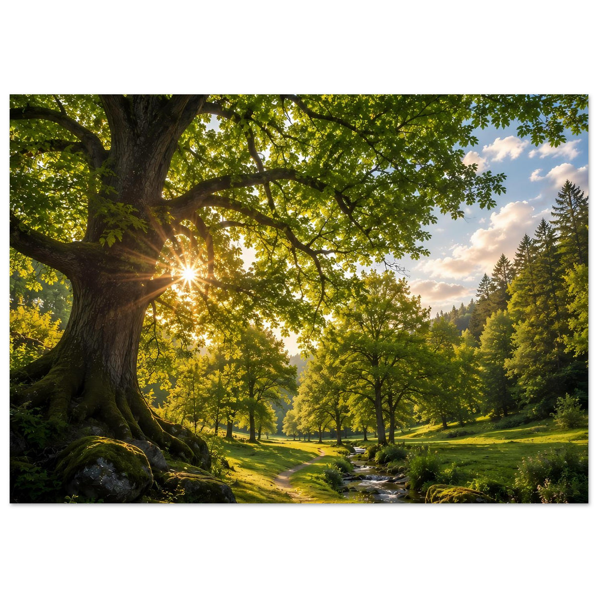 Wandposter im Querformat: Waldweg und Bach, warmes Licht zwischen grünen Bäumen