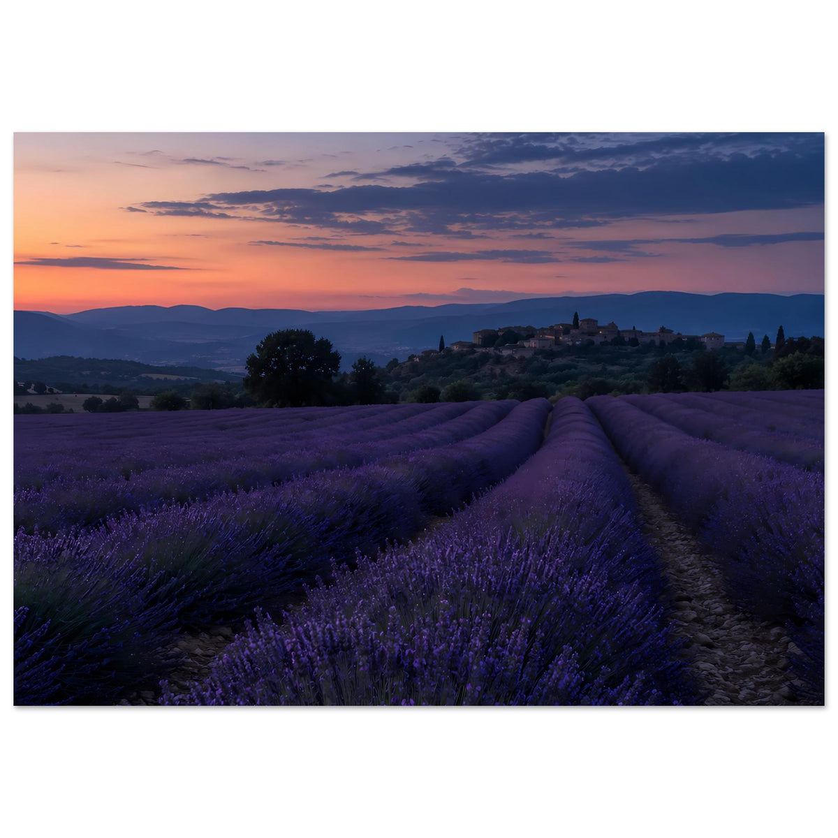 Quadratisches Poster mit Lavendelfeld und Sonnenuntergangshimmel in Blau- und Violetttönen