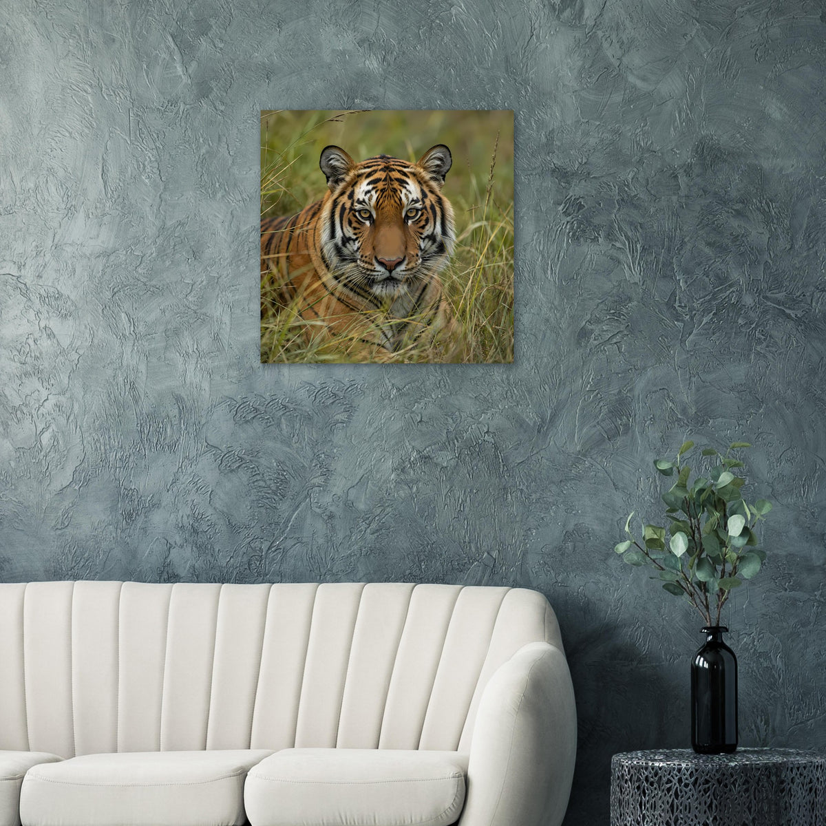 Quadratisches Poster mit Tiger im Gras, mittiger Bildausschnitt im Raum