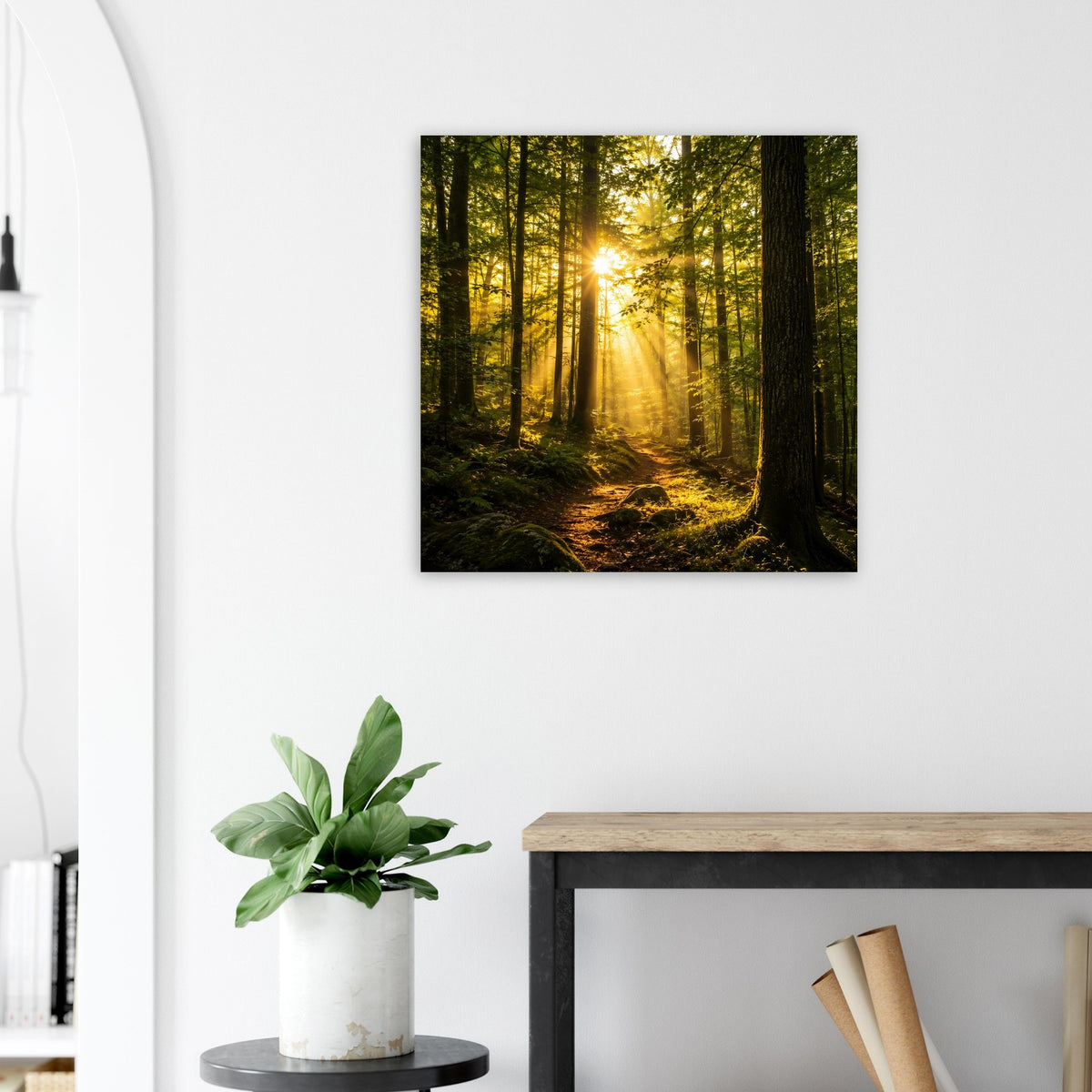 Quadratisches Poster: Waldweg im goldenen Licht, hohe Baumstämme, schwarzer Rand.
