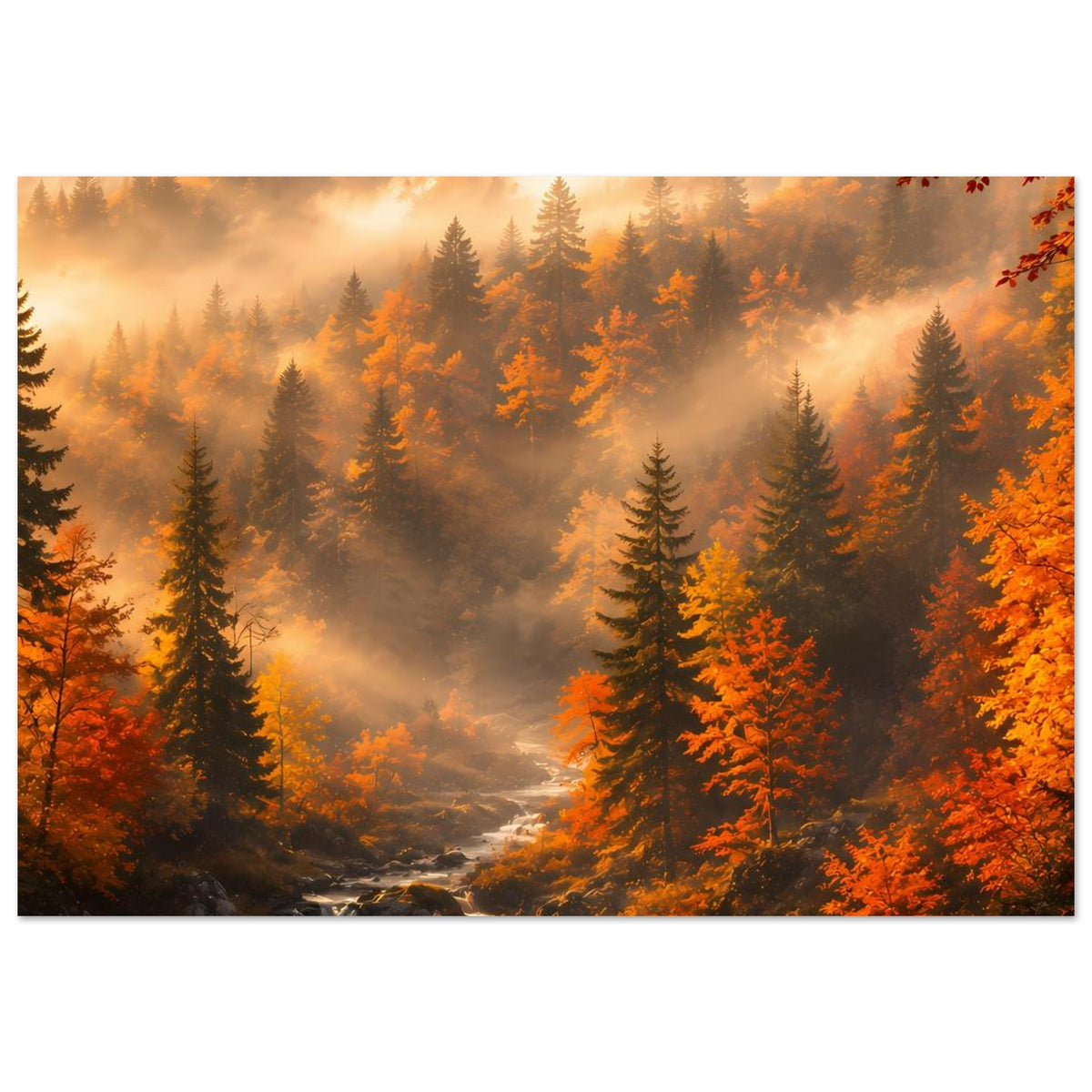 Panorama-Poster mit Nebelwald, orange Tannen und Bachlauf durch das Tal