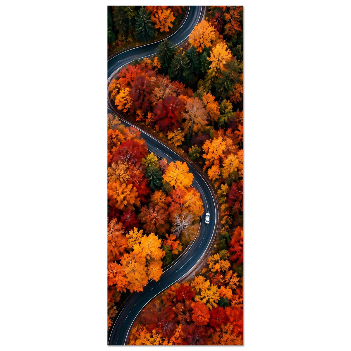 Herbstposter Hochformat: Teilansicht der geschwungenen Straße, dichter Herbstwald in Rot und Gelb