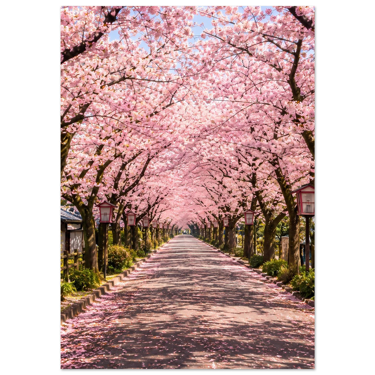 Vertikales Poster mit dichtem rosa Kirschblütenzweigen über einer Allee mit Wegperspektive