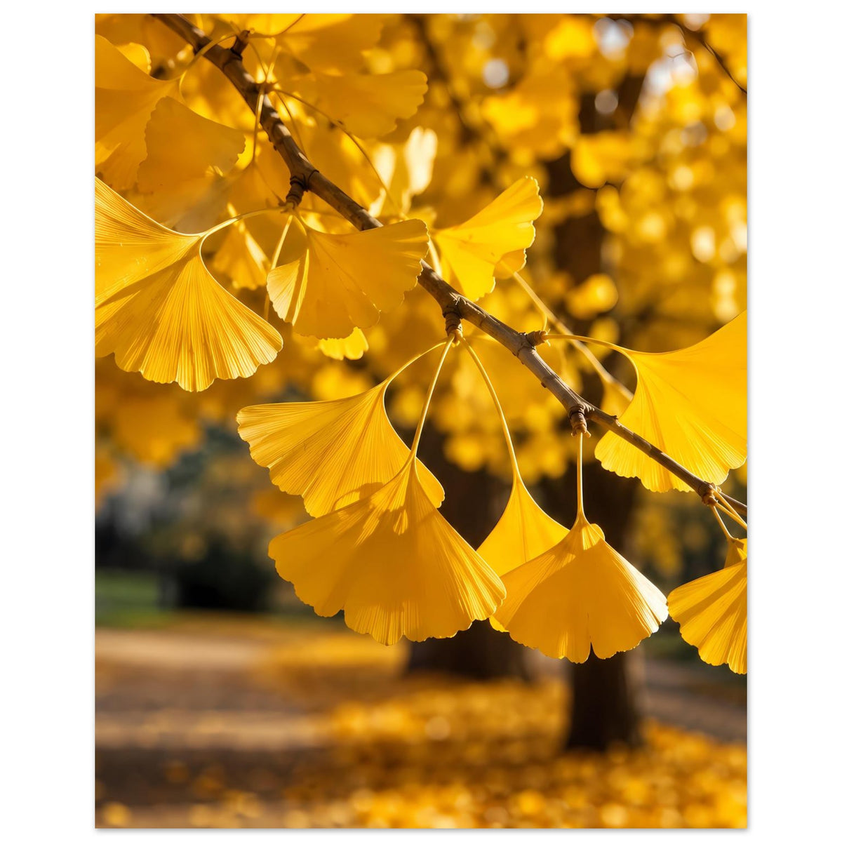 Poster mit goldenen Ginkgo-Blättern an Ast, überwiegend senkrechter Ausschnitt