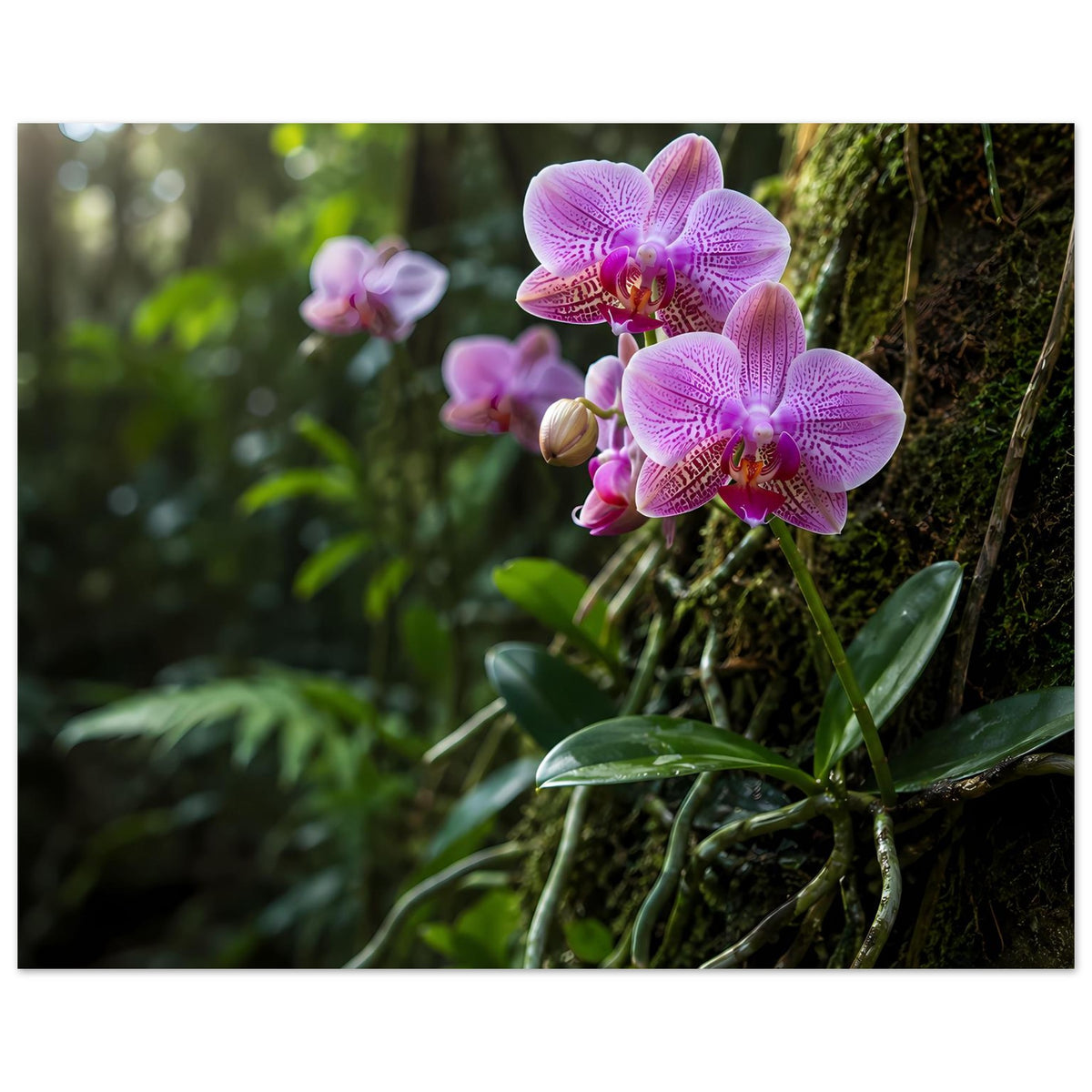 Botanisches Poster mit pinken Orchideenblüten auf Moos und grünen Blättern, Hochformat