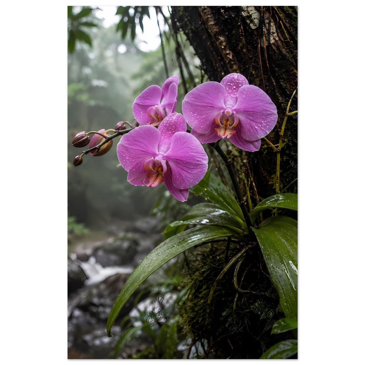 Orchideen-Poster im Hochformat mit violetten Orchideenblüten und großen grünen Blättern