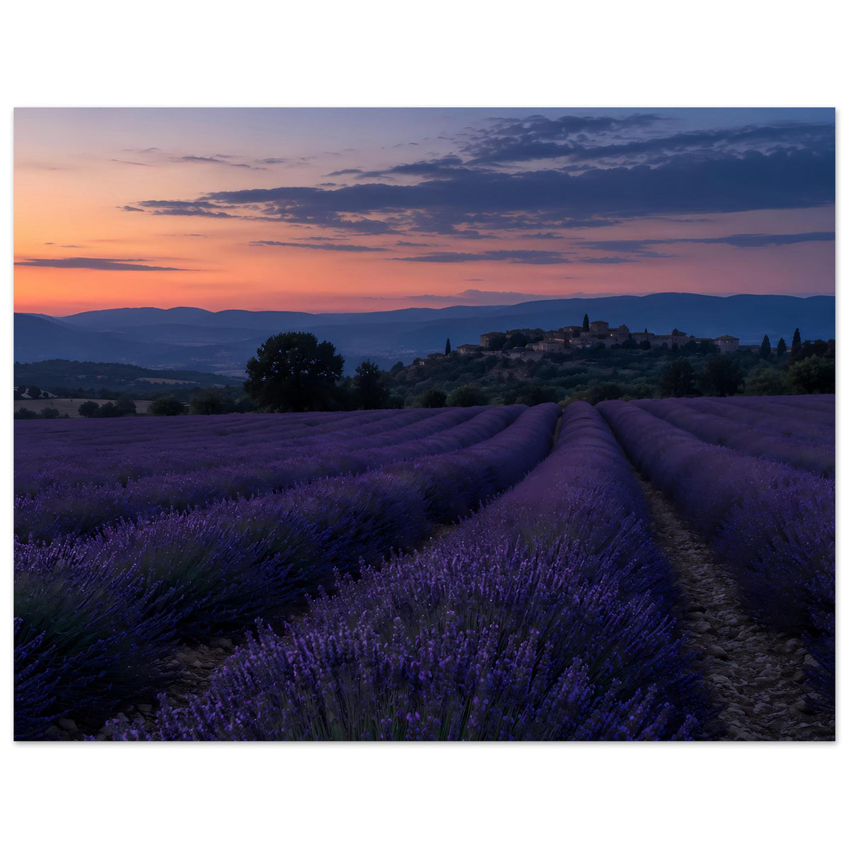 Wandposter mit Lavendelfeld und Abendhimmel, violette Reihen bis zum fernen Ort