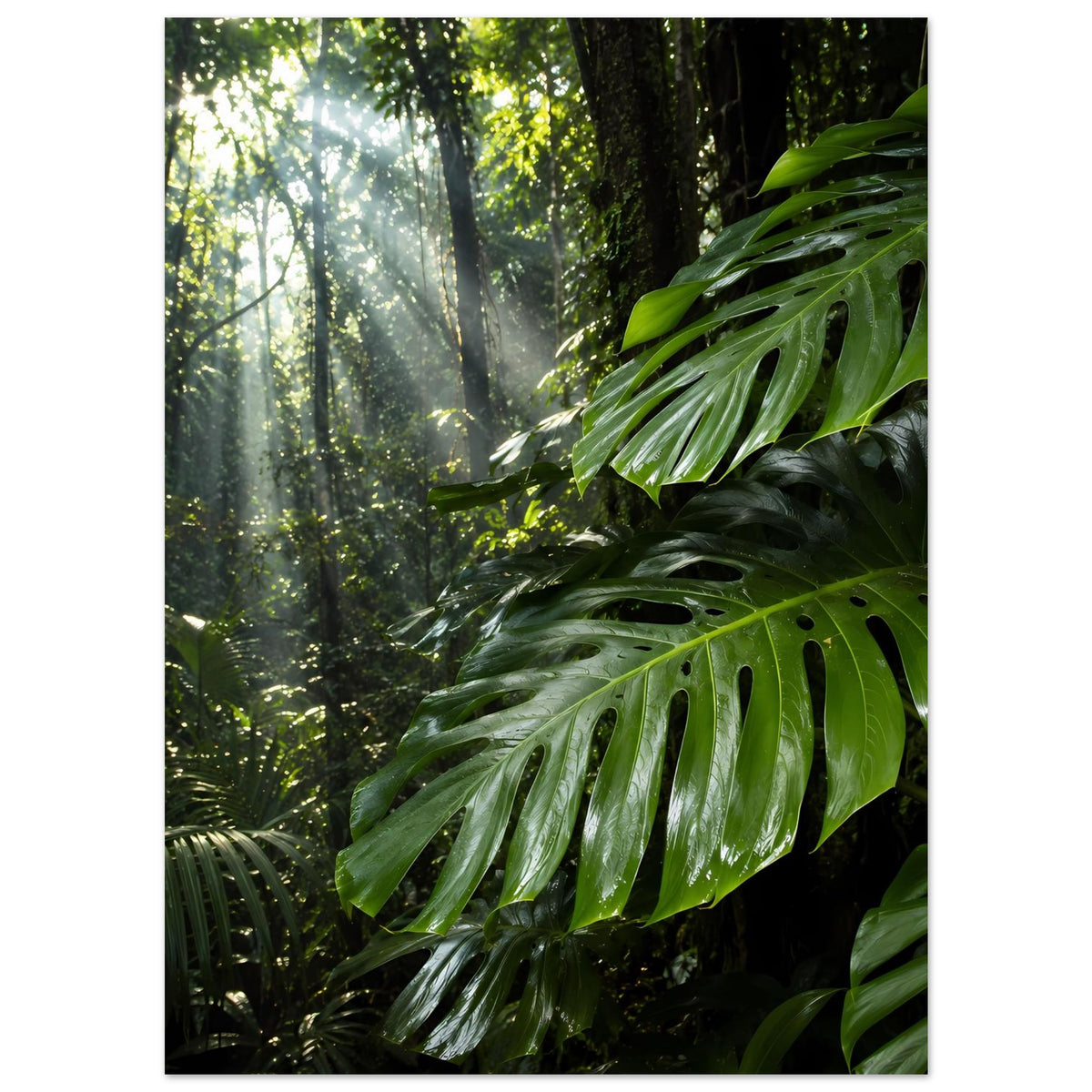 Jungle-Poster im Hochformat: grünes Monstera-Blattwerk und Lichtdurchfall durch Bäume