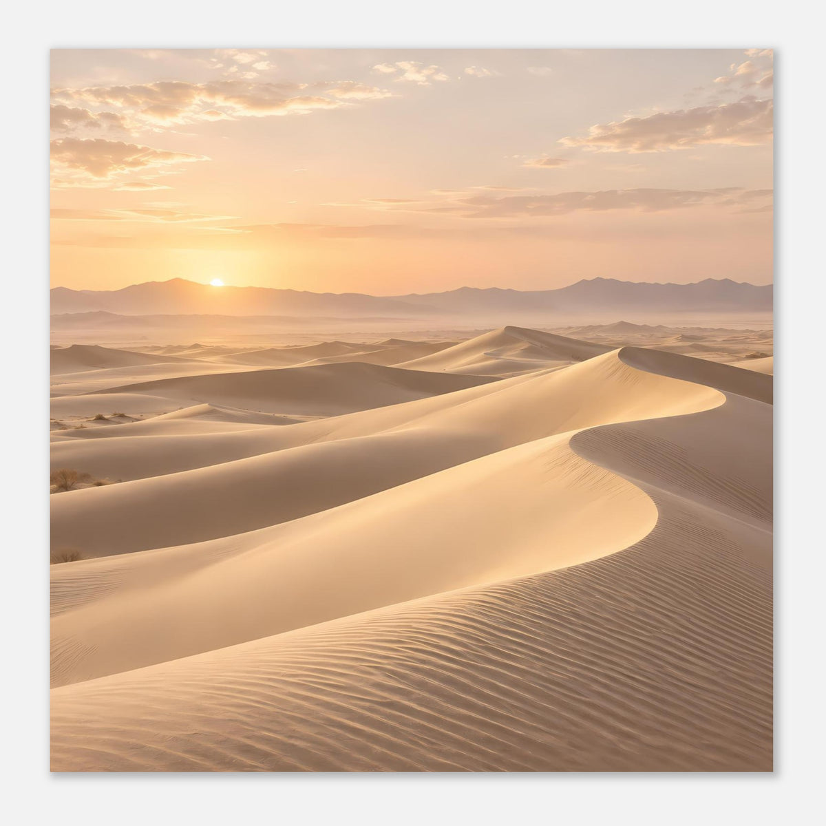 Quadratisches Wüstenposter mit aufgehender Sonne und hellen Sanddünen im Vordergrund
