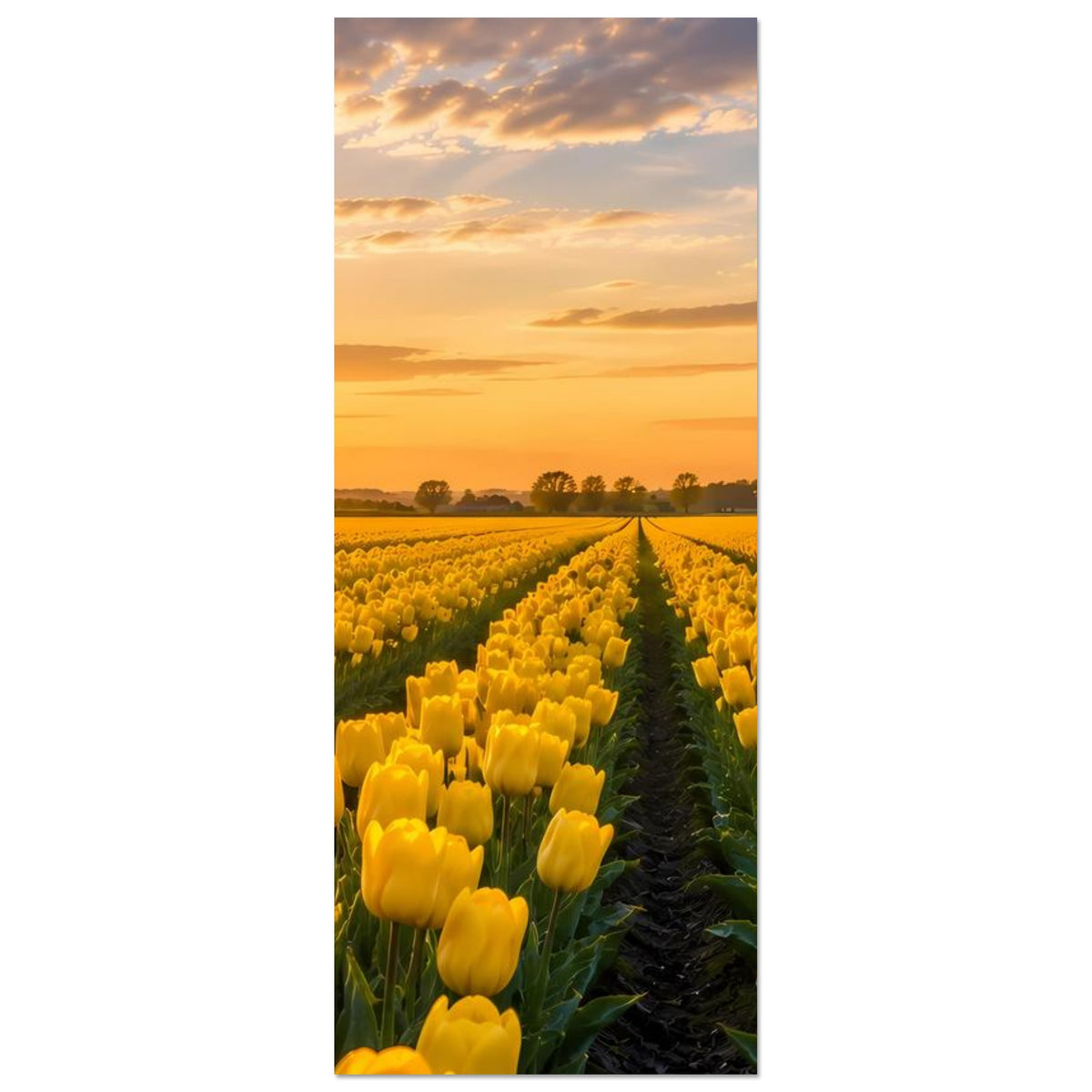 Hochformatdruck: gelbe Tulpen entlang eines Weges, holländische Windmühle am rechten Rand
