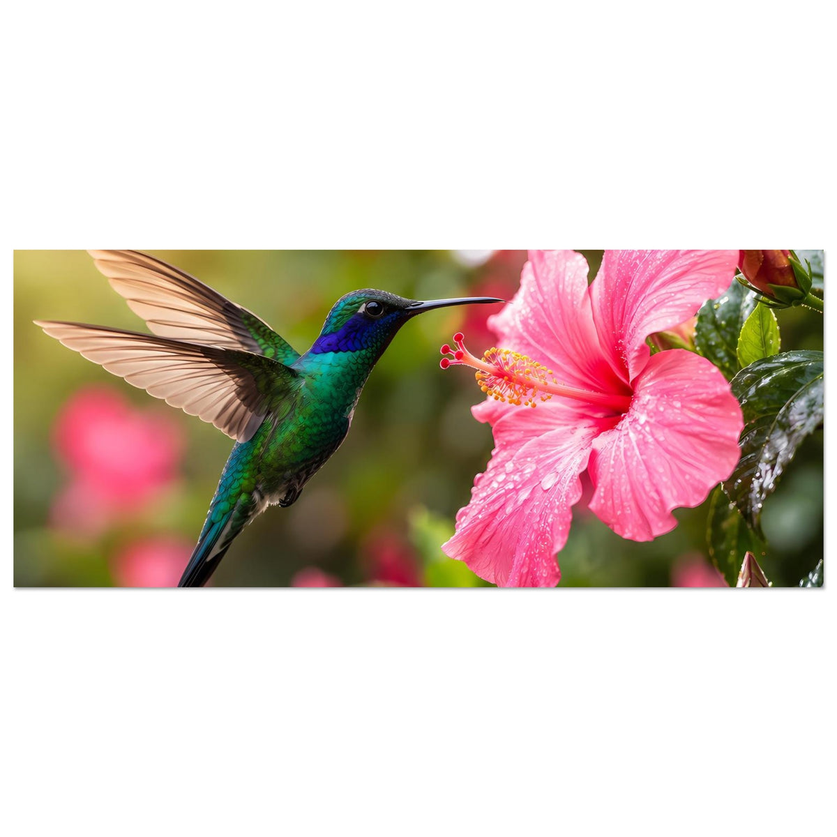 Horizontales Poster mit Kolibri und großer pinker Hibiskusblüte