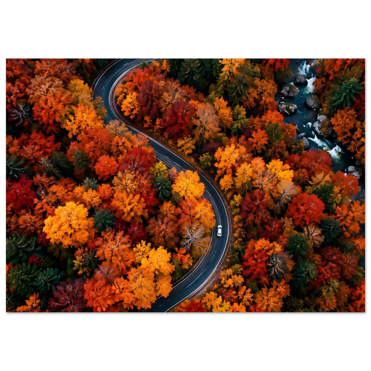 Herbstposter mit Kurvenstraße durch orange-gelbes Herbstlaub