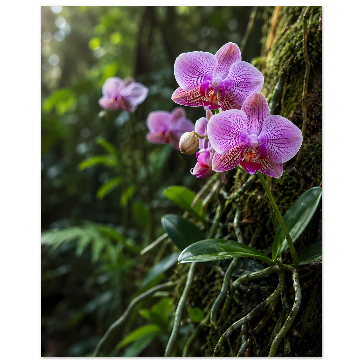 Botanisches Poster mit großen pinken Orchideenblüten und grünen Blättern, klarer Fokus