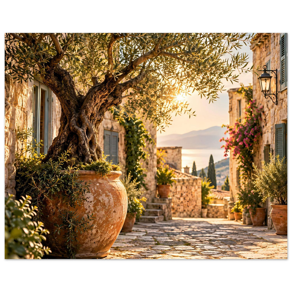 Mediterranes Poster: Olivenbaumkrone über Terrakotta-Vase, Gasse mit Pflanzkübeln