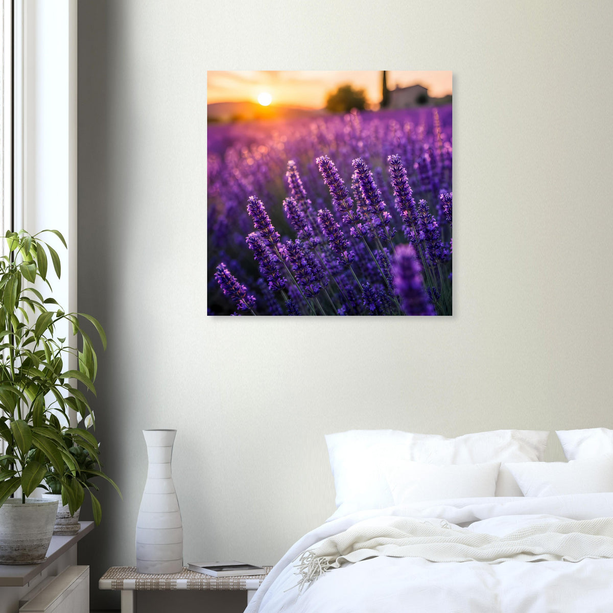Quadratisches Lavendel-Poster mit violetten Blüten und Sonnenuntergang am Horizont