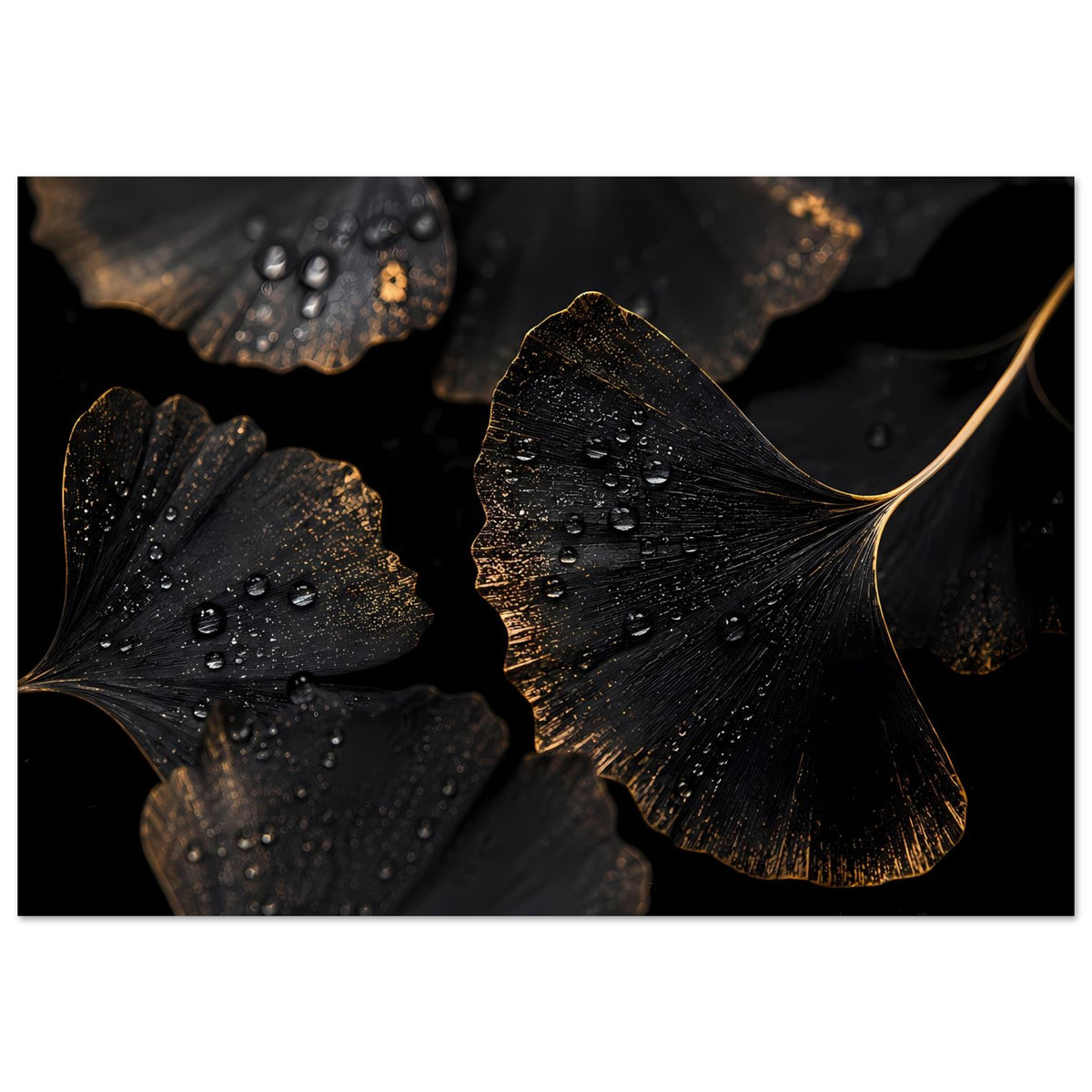 Poster im Querformat mit schwarzen Ginkgo-Blättern, goldenen Akzenten und Tropfen