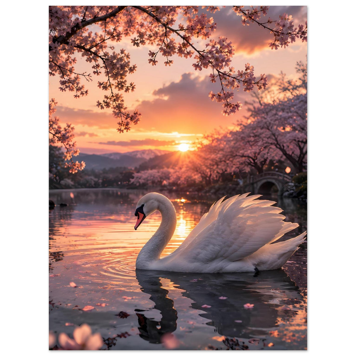 Poster mit weißem Schwan im Vordergrund, Seeoberfläche und Sonnenuntergang im Hintergrund