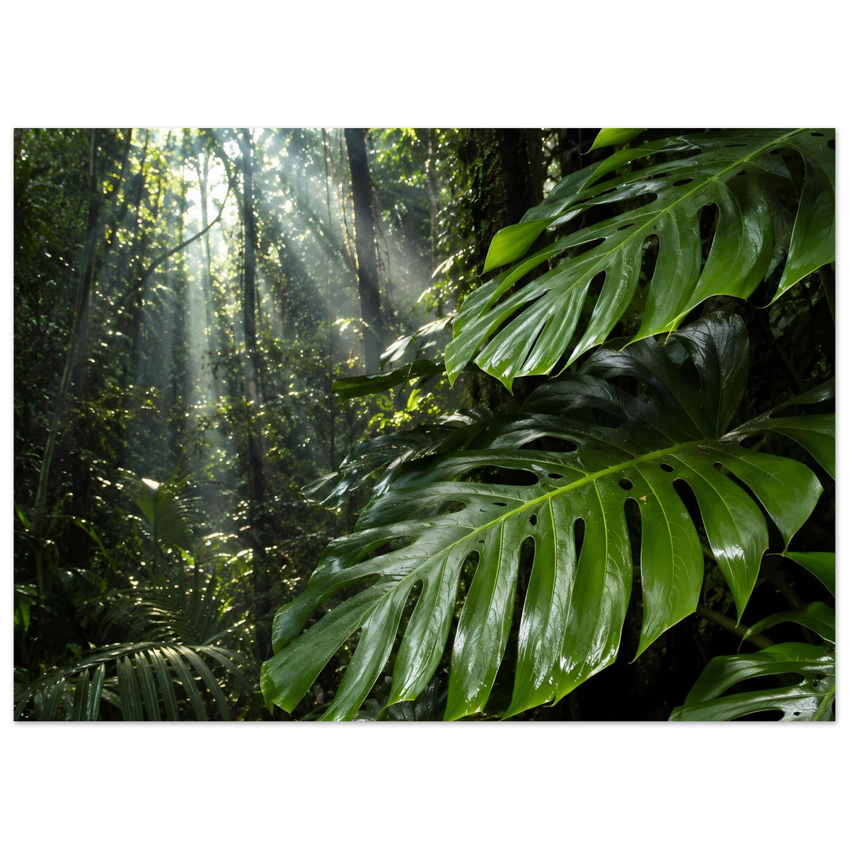 Horizontales Dschungel-Poster mit großen Monstera-Blättern im grünen Dickicht