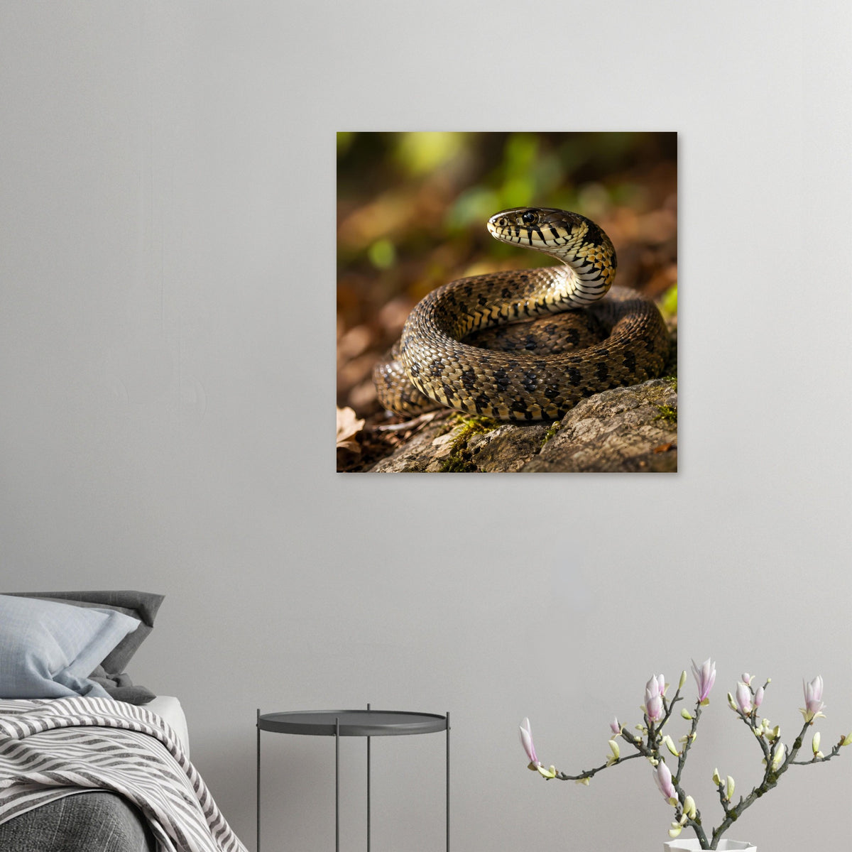 Kleines Poster mit eingerollter Schlange auf Fels, braun-gelbes Schuppenmuster