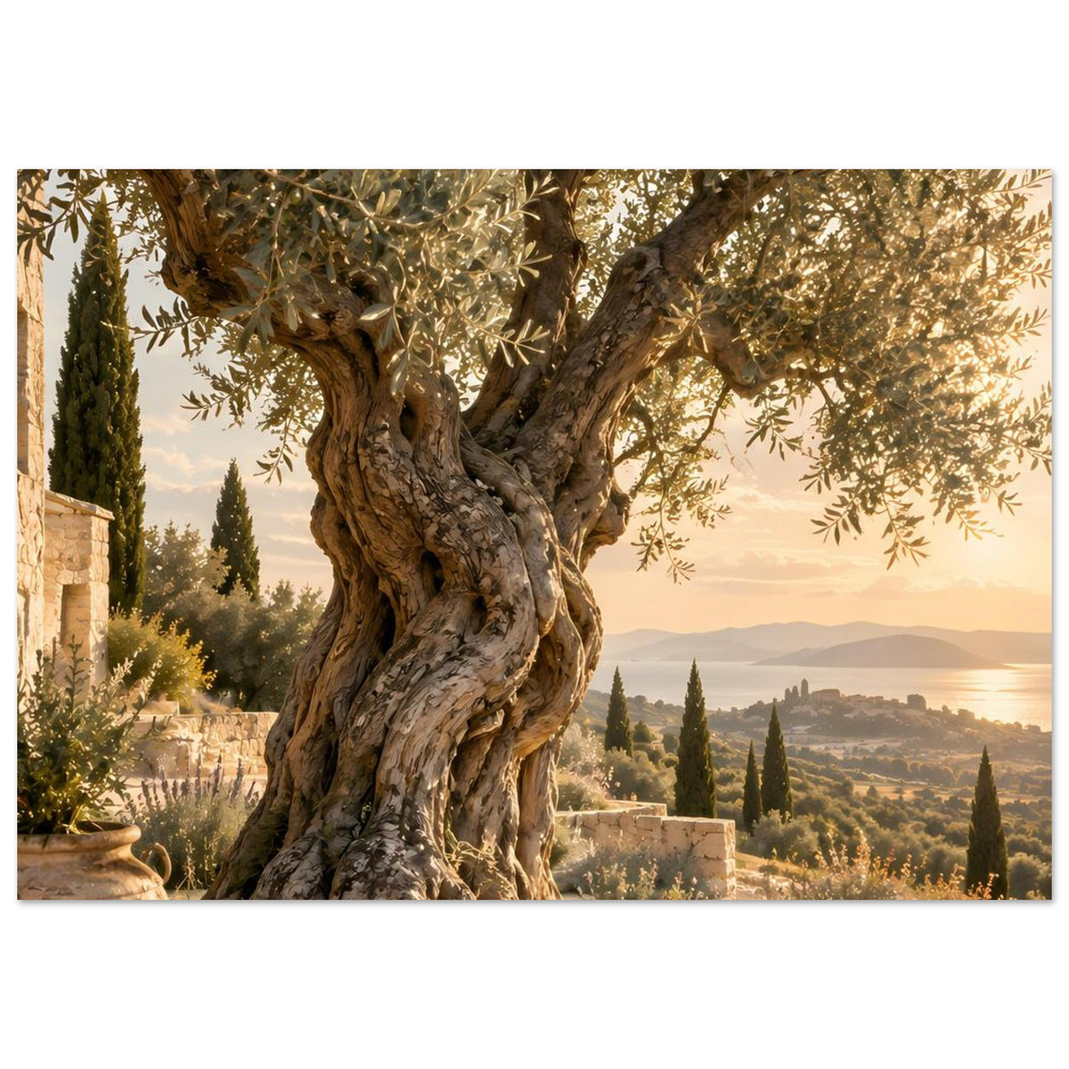 Poster mit altem Olivenbaum und mediterraner Küstenlandschaft im Hintergrund