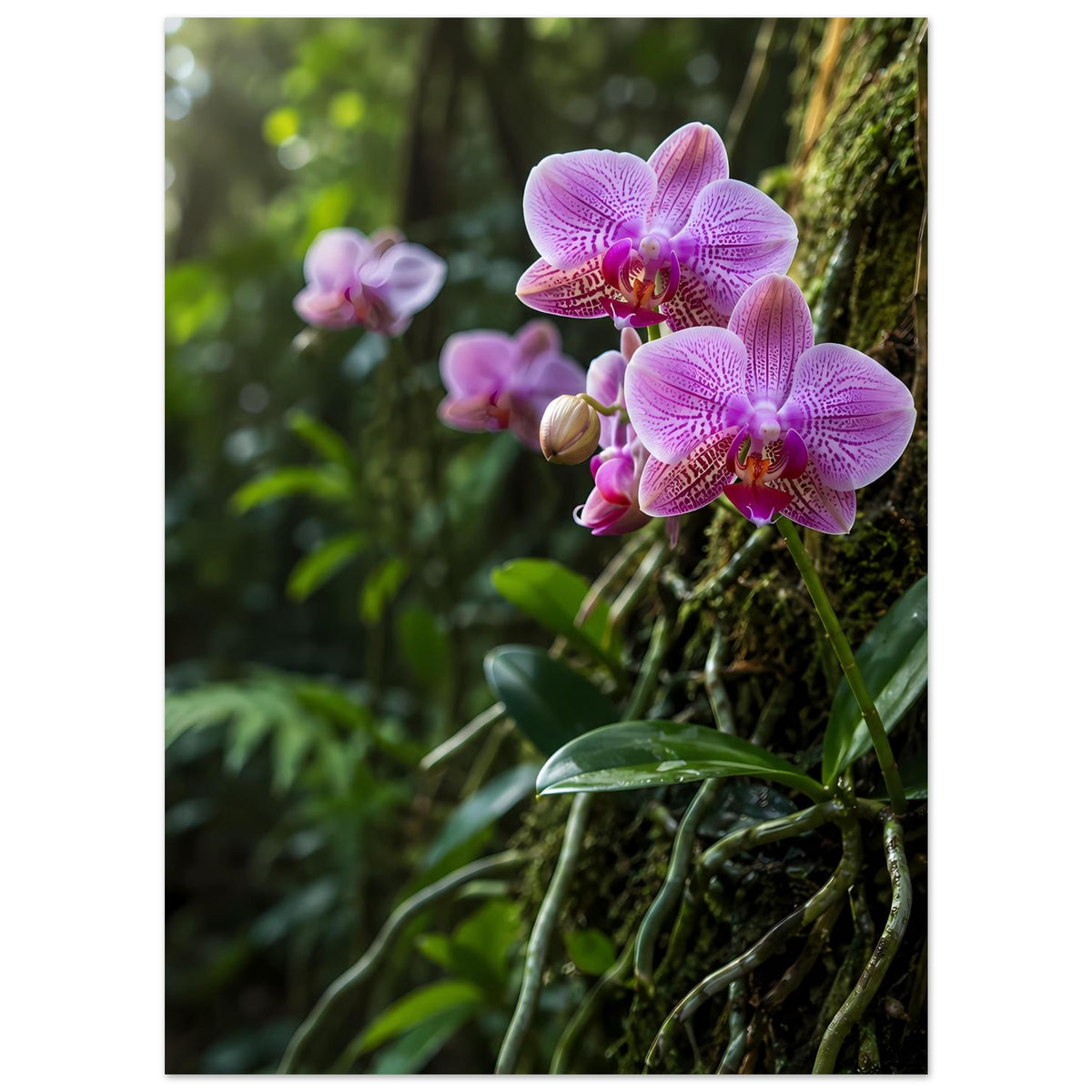 Botanisches Orchideen-Poster mit violetten Orchideenblüten, Hochformat