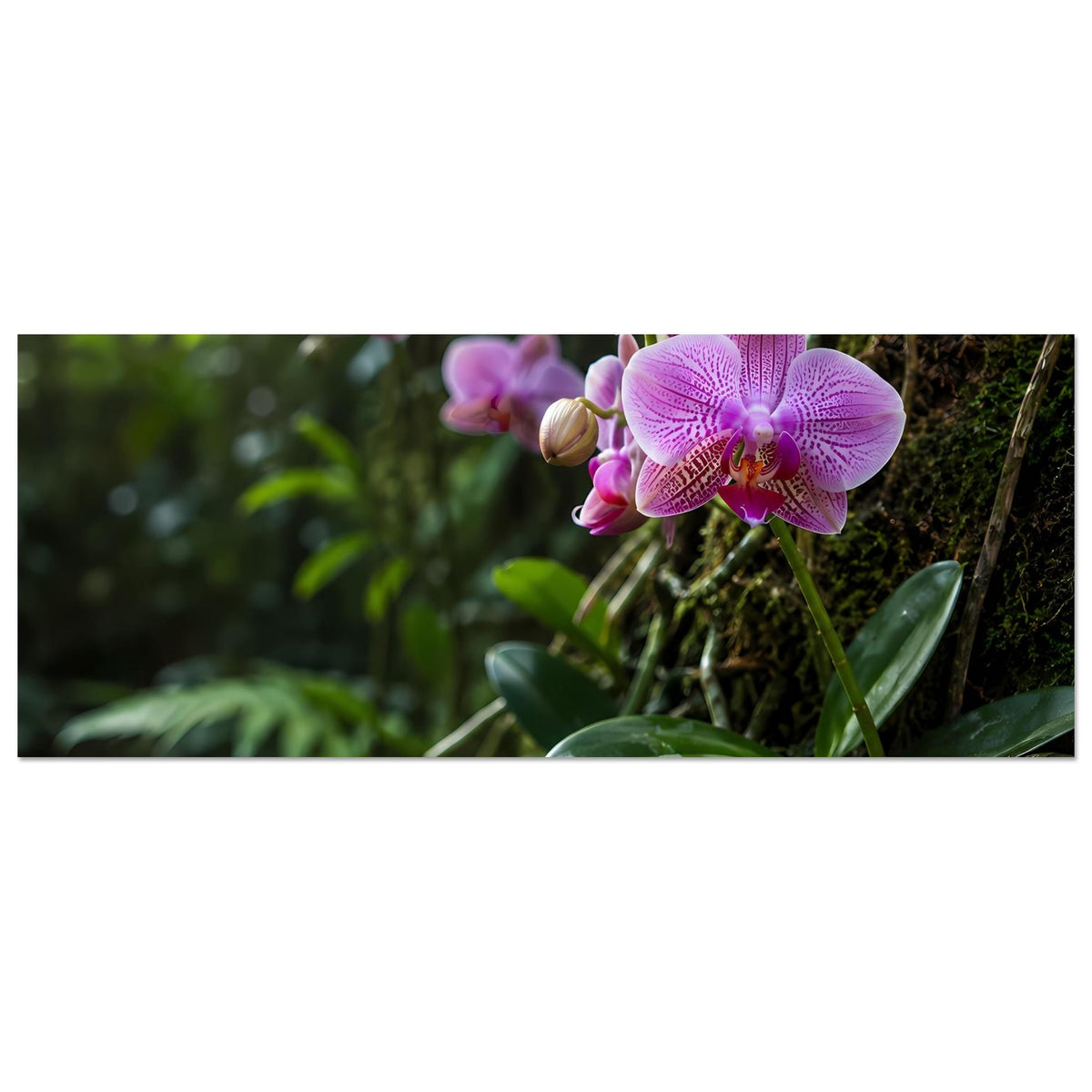 Botanisches Orchideen-Poster mit violetten Blüten, horizontaler Ausschnitt