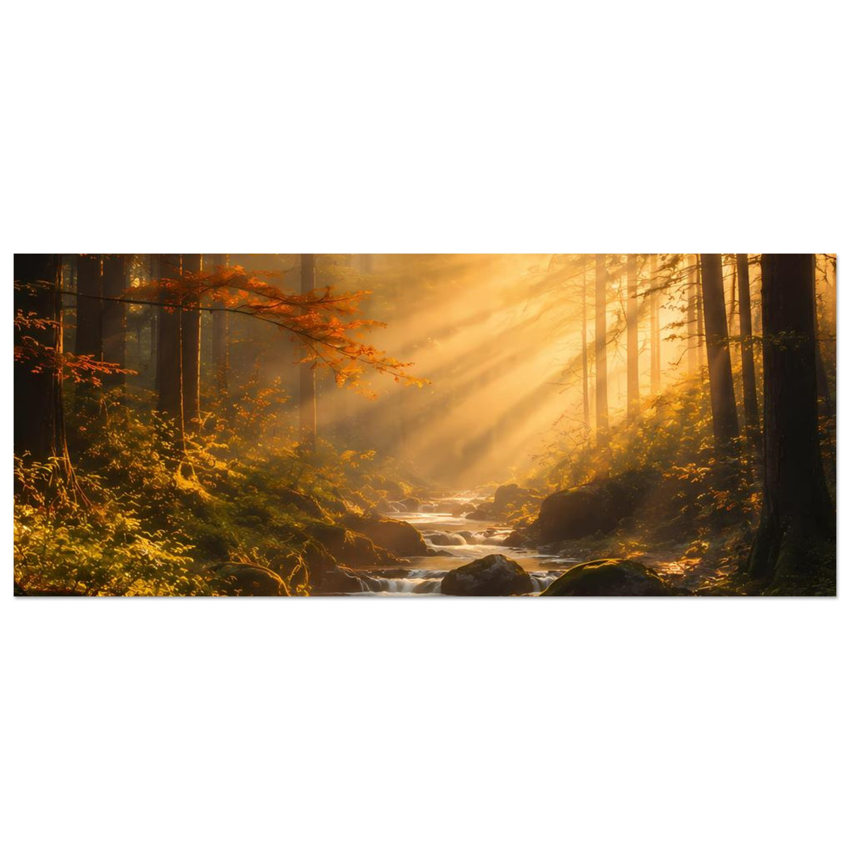 Waldposter im Querformat mit Sonnenaufgang, Bachlauf durch Herbstlaub und Felsen
