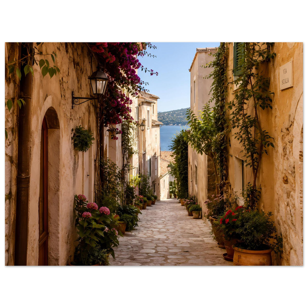 Breitformat-Poster mit mediterraner Gasse, Topfpflanzen, Mauern und violetten Blüten