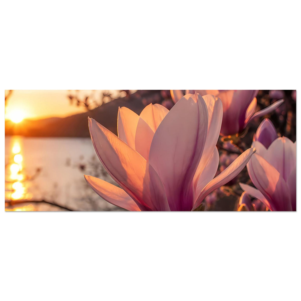 Magnolienblüten-Poster im Querformat: große lila-rosa Blüte mit orangefarbenem Kern