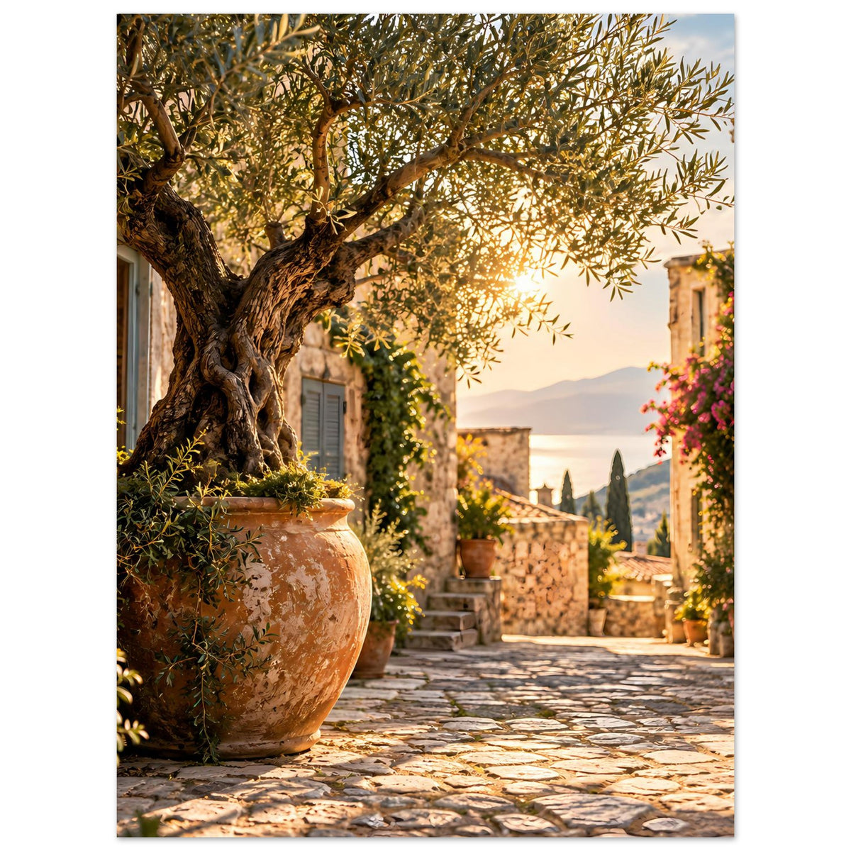Mediterranes Zierposter mit Olivenbaum, Terrakotta-Topf und gepflastertem Weg in der Ferne