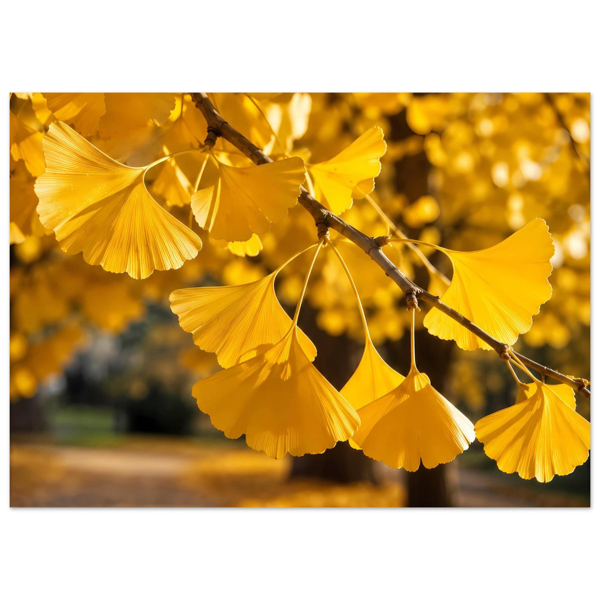 Poster mit goldenen Ginkgo-Blättern am Ast, Fokus auf Blattformen