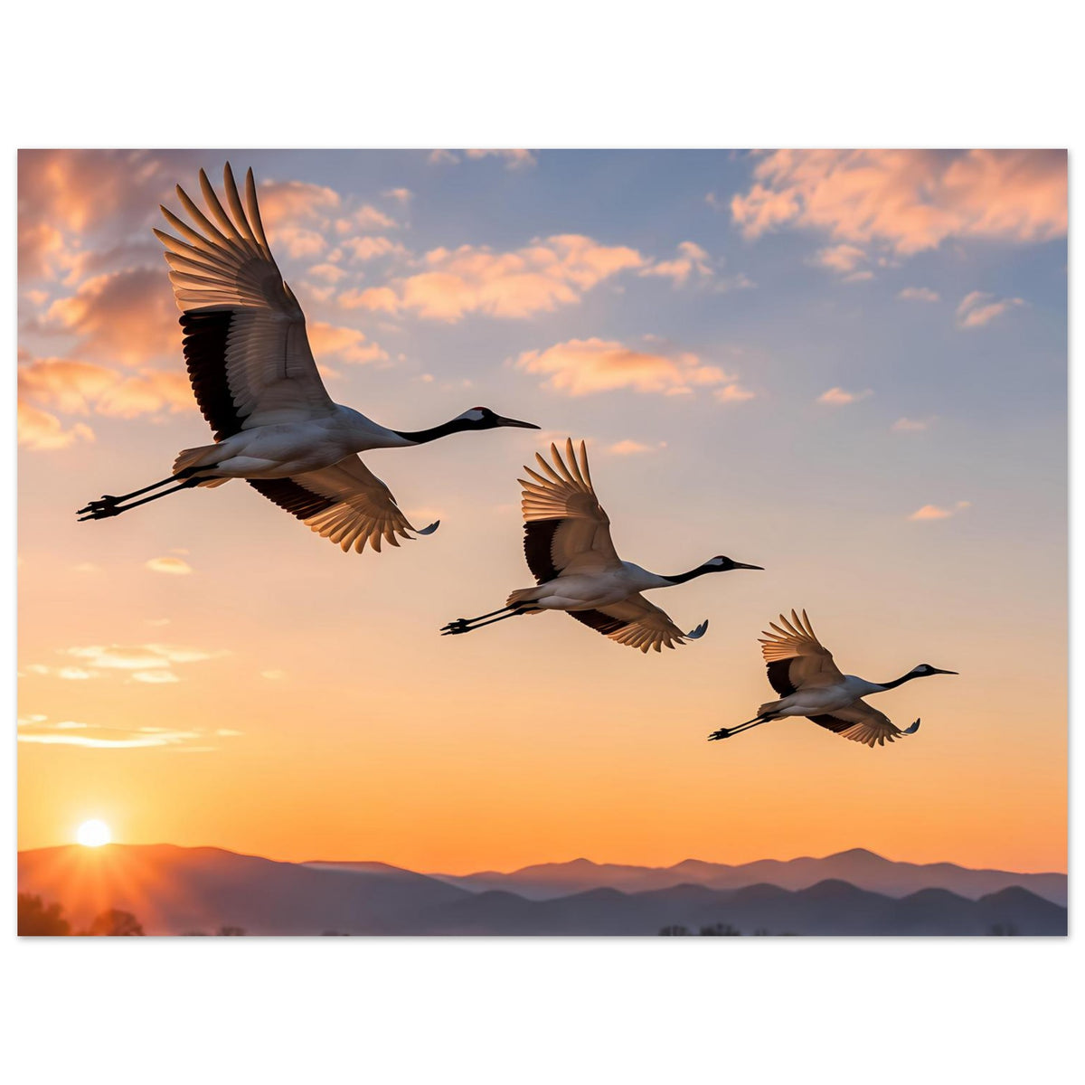 Poster: Kraniche im Flug, Flügel ausgebreitet, vor warmem Abendhimmel
