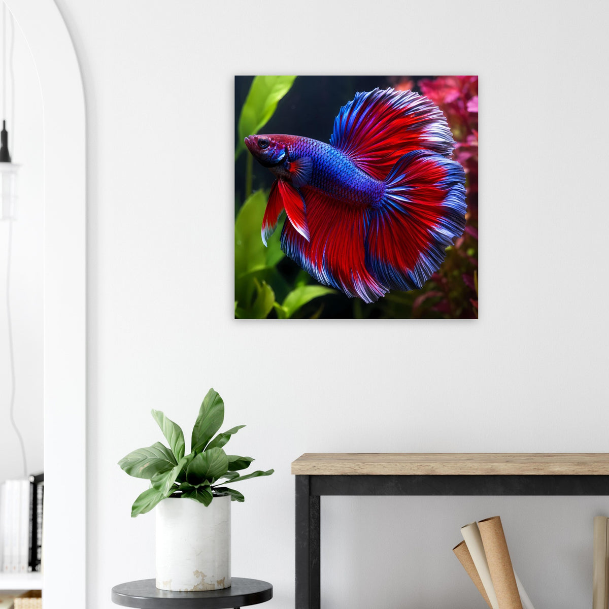 Quadratisches Poster mit blauem Kampffisch mit rotem Flossenrand