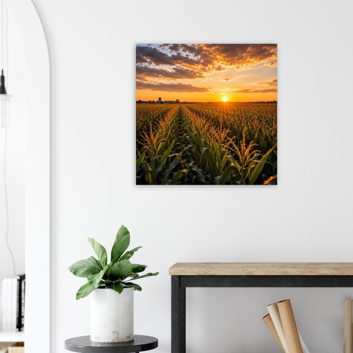 Quadratisches Poster mit Sonnenuntergang über Maispflanzen im Vordergrund