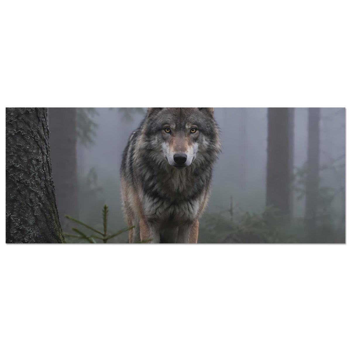 Horizontales Poster mit grauem Wolf im Nebelwald, frontal