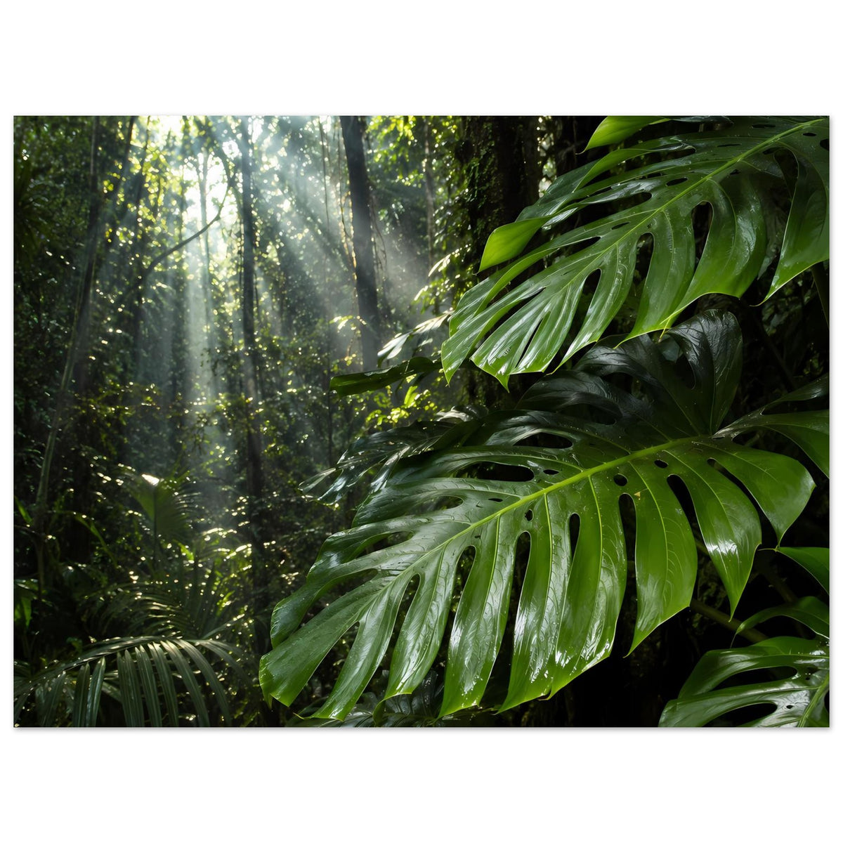 Dschungel-Poster mit grünen Blättern, Waldtiefe und Sonnenstrahlen