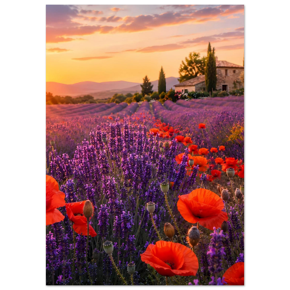 Floraler Landschaftsposter im Hochformat: Lavendelfeld mit roten Mohnblumen und Haus am Horizont