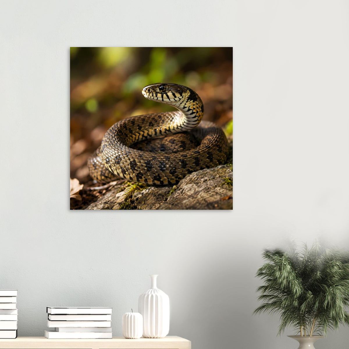 Kleines Poster mit zusammengerollter Schlange, Kopf über dem Ring, erdige Farben